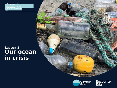 Our ocean in crisis KS3