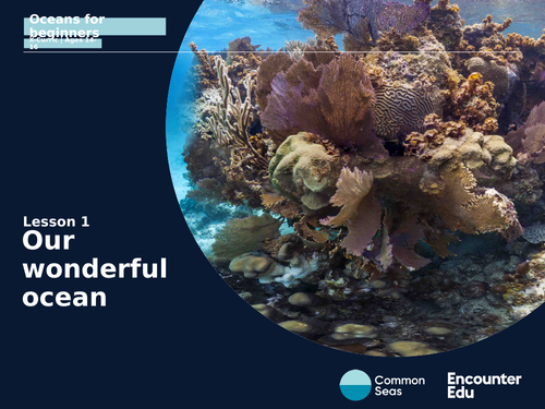 Our wonderful ocean KS4