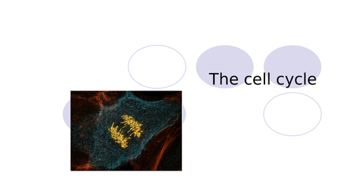 Cell Cycle (Mitosis) NEW AQA  9-1 GCSE Full Lesson