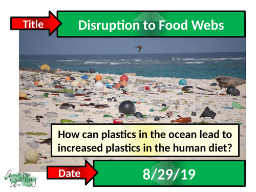 Disruption to Food Webs - Activate