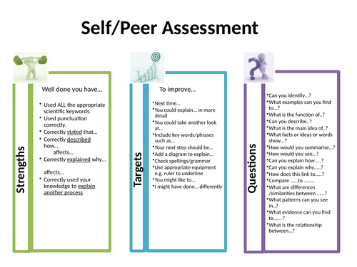 Peer and Self Assessment Checklist for Whole School