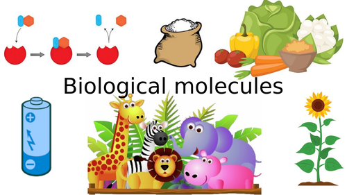 AQA A Level Biology Unit 1 (1/3)