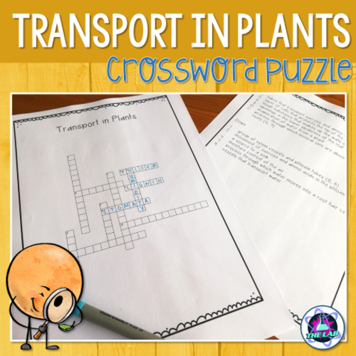 Transport in Plants Crossword Puzzle