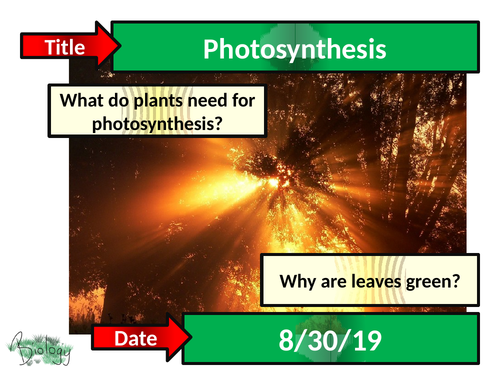 Photosynthesis: leaf adaptations - Activate
