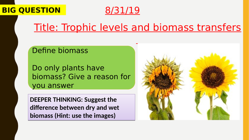 AQA new specification-Trophic levels and biomass transfers-B18.8-9