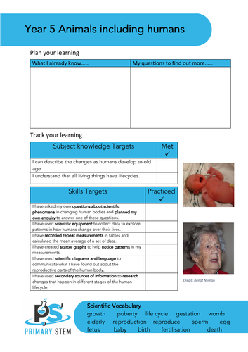 Editable Primary Science topic cover pages - Upper  KS2