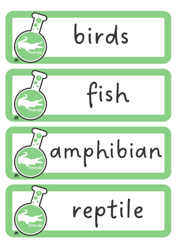 Year 1 Primary Science - Scientific Vocabulary Cards