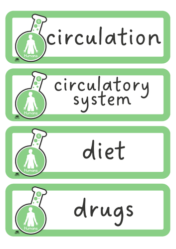 Year 6 Primary Science - Scientific Vocabulary Cards