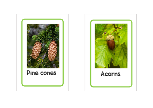 Tree Seed Table Names for Tolsby Ikea Frames