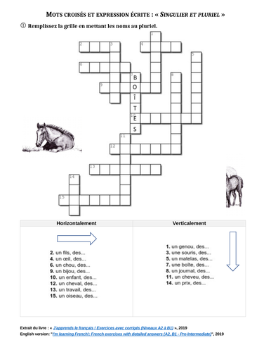 Mots Croises Sur Le Singulier Et Le Pluriel En Francais Teaching Resources