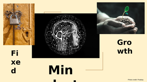Fixed vs. Growth Mindset