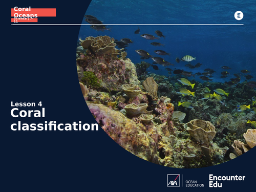 Coral Oceans KS2: Coral classification