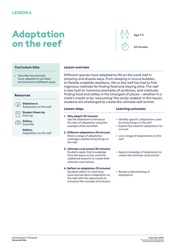 Coral Oceans KS2: Adaptation on  the reef