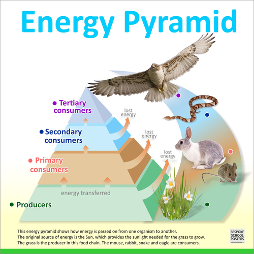 Energy Pyramid Poster