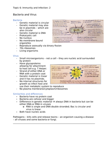 Edexcel A Level Biology A - Topic 6 - Infection  (2/3)
