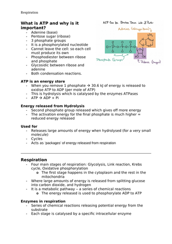 Edexcel Biology A - Topic 7 - Respiration (3/3)