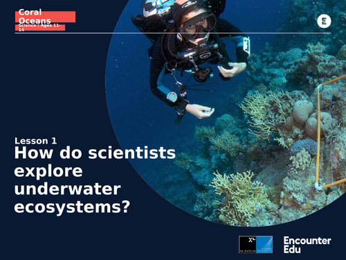 Coral Oceans: KS3: Underwater ecosystems