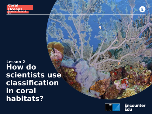 Coral Oceans: KS3: Energy transfer coral reef