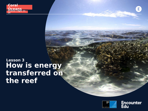 Coral Oceans: KS3: Classifying coral