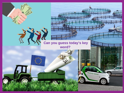 Economics: Subsidies  (NEW SPEC) - Edexcel
