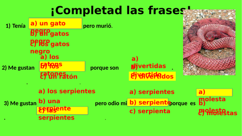 Year 7 - Year 8 Países y nacionalidades - countries and nationalities