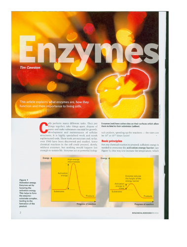 AQA Biology Enzyme Action