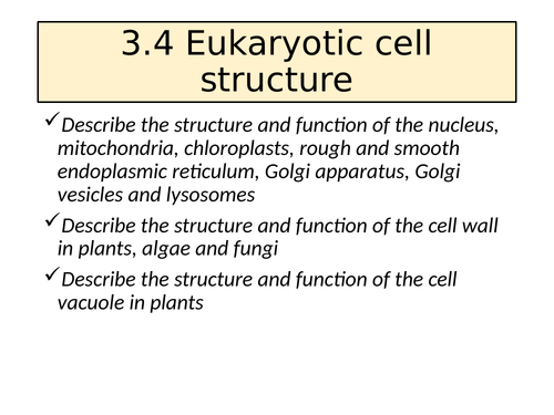 3.4 Eukaryotic Cell Structure AQA A Level