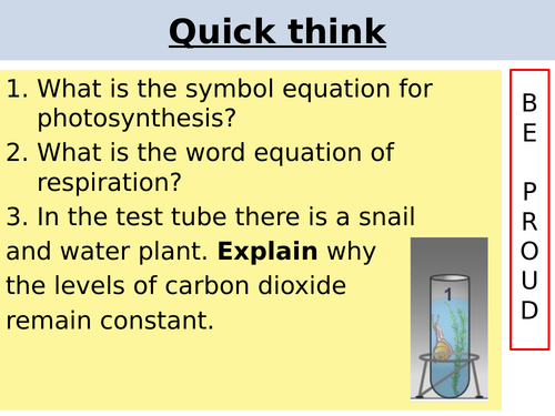 GCSE B7 Carbon cycle
