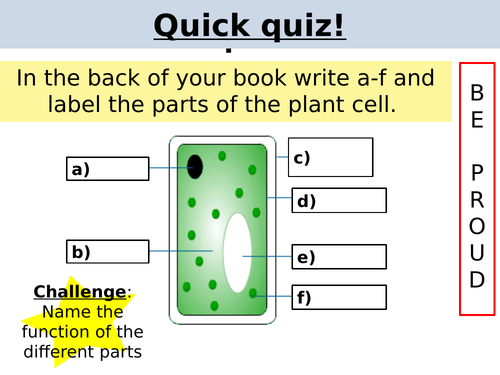 Secondary cells resources