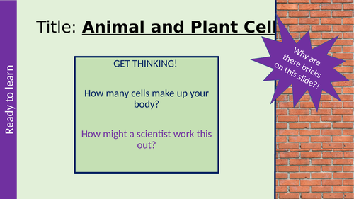 AQA B1 Plant and Animal Cells