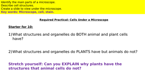 Animal Cells Under a Microscope