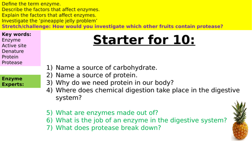 Enzymes Jelly Practical Activity