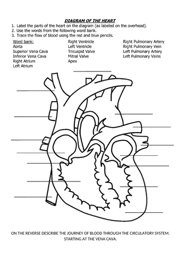 GCSE PE REVISION ACTIVITIES - COMPONENT 1