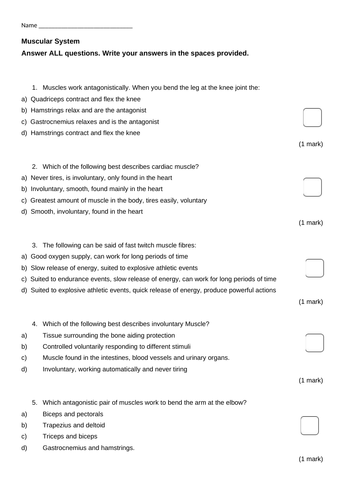 PE Muscular System test and mark scheme