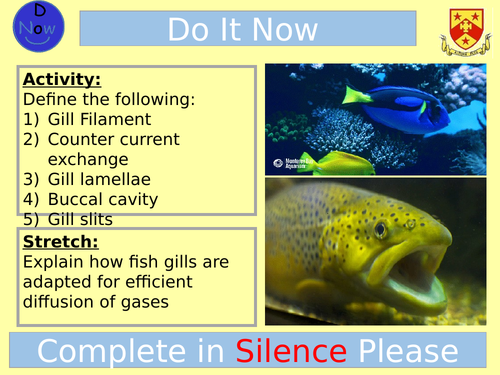 Counter Current Exchange