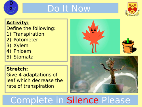 Fish Dissection Lesson AQA Alevel