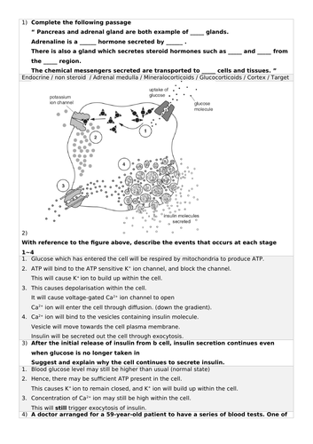 EXAM Q&A! OCR Biology A Module 5 Neuronal Communication (New Spec)