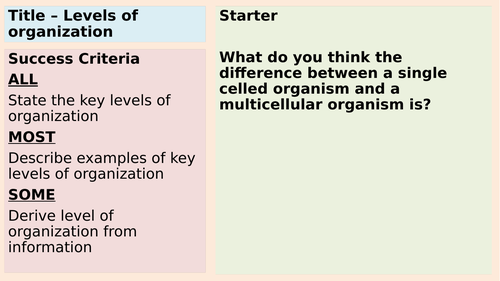 Levels of Organization