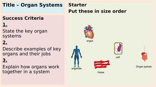 Organs and Organ systems