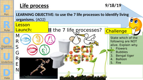 Cells, tissues and organs WHOLE UNIT - Exploring science (Year 7)