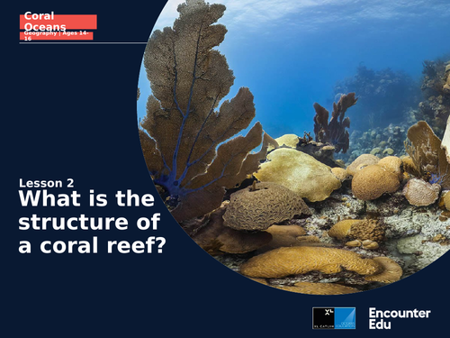 Coral Oceans Geo KS4: What is the structure of coral reefs?