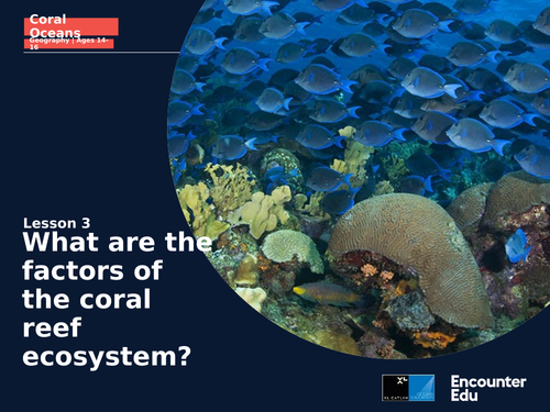 Coral Oceans Geo KS4: What are the factors of reef ecosystems?