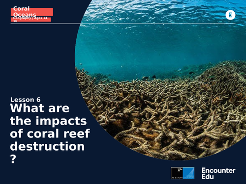 Coral Oceans Geo KS4: What are the impacts of reef destruction?