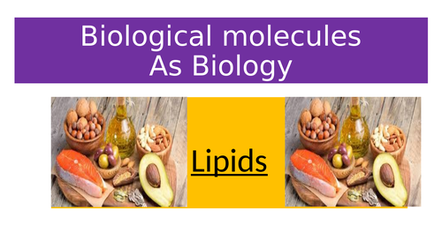 Biological Molecules: LIPIDS