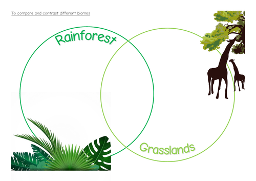 KS2 Biome activies