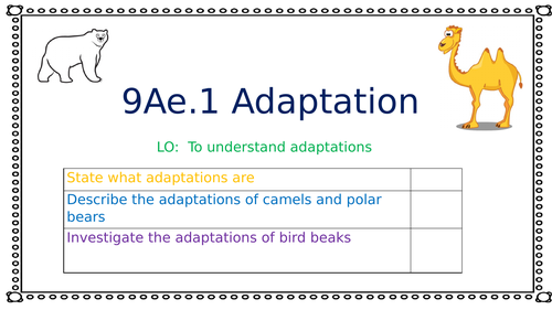 9Ae Adaptations
