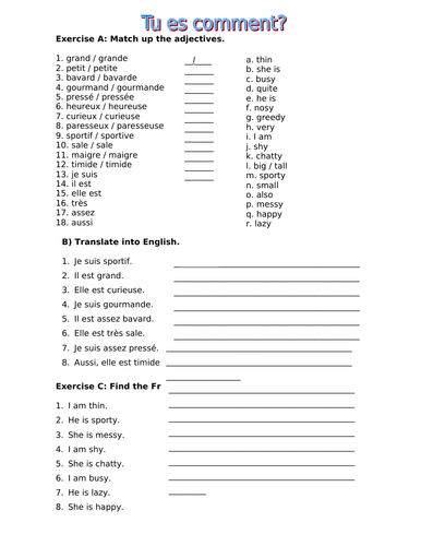 Beginner French Adjectives Worksheet