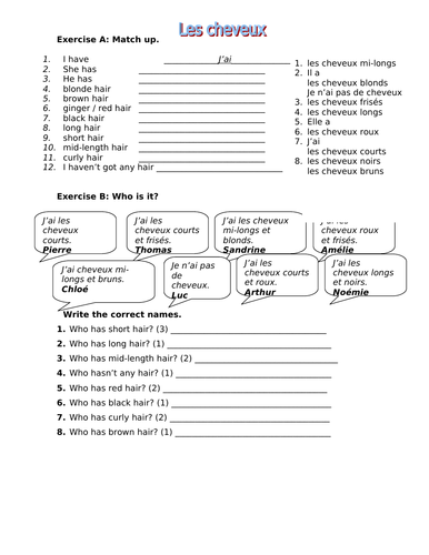 French describing hair worksheet KS3