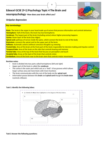 Edexcel 9-1 GCSE Psychology Brain and neuropsychology revision booklet