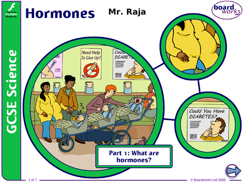 GCSE - Hormones Pt. 1